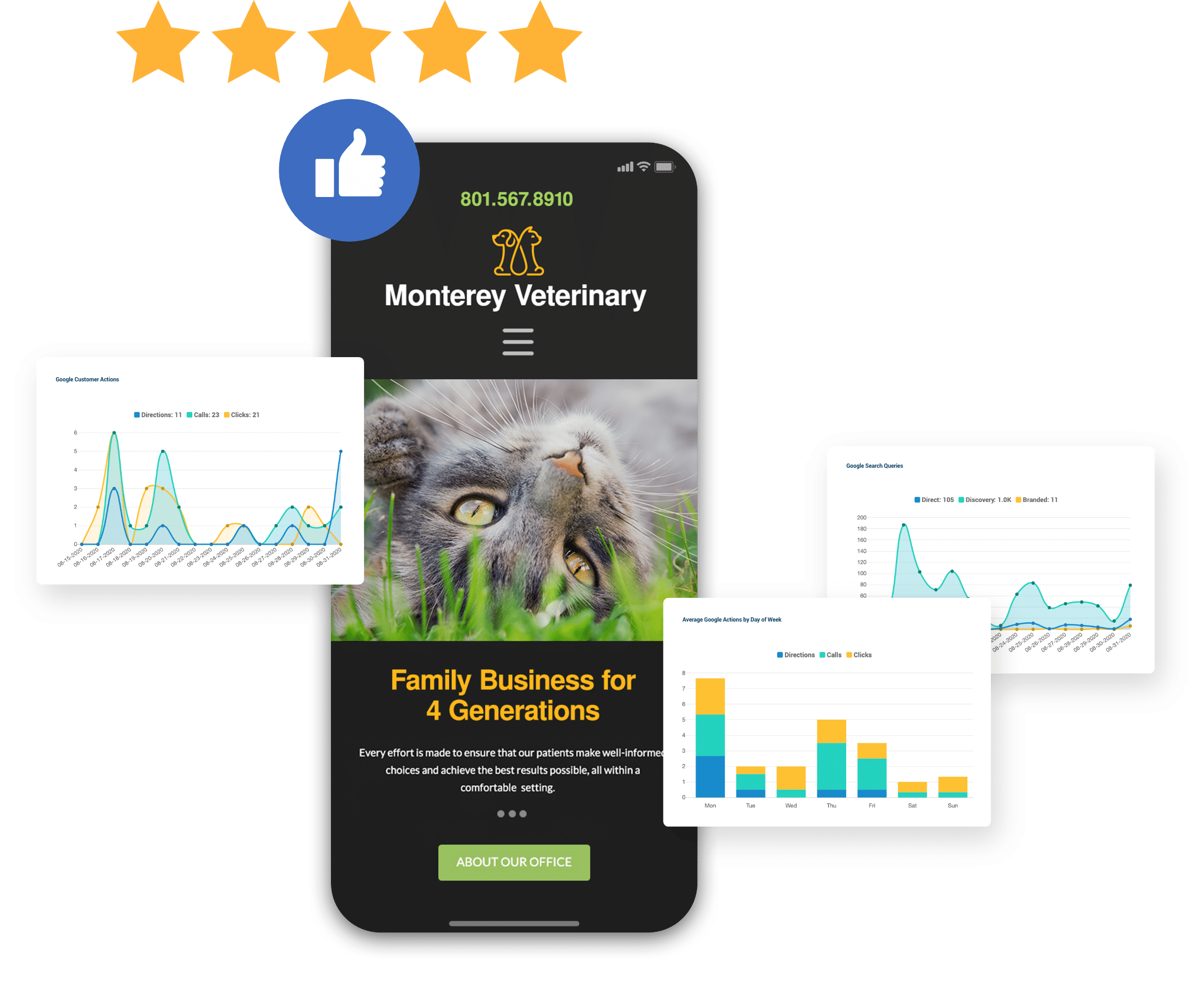 example image of a veterinary website with positive reviews and overlaid graphs